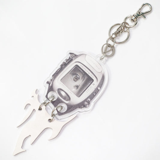 VS-kr2 key ring